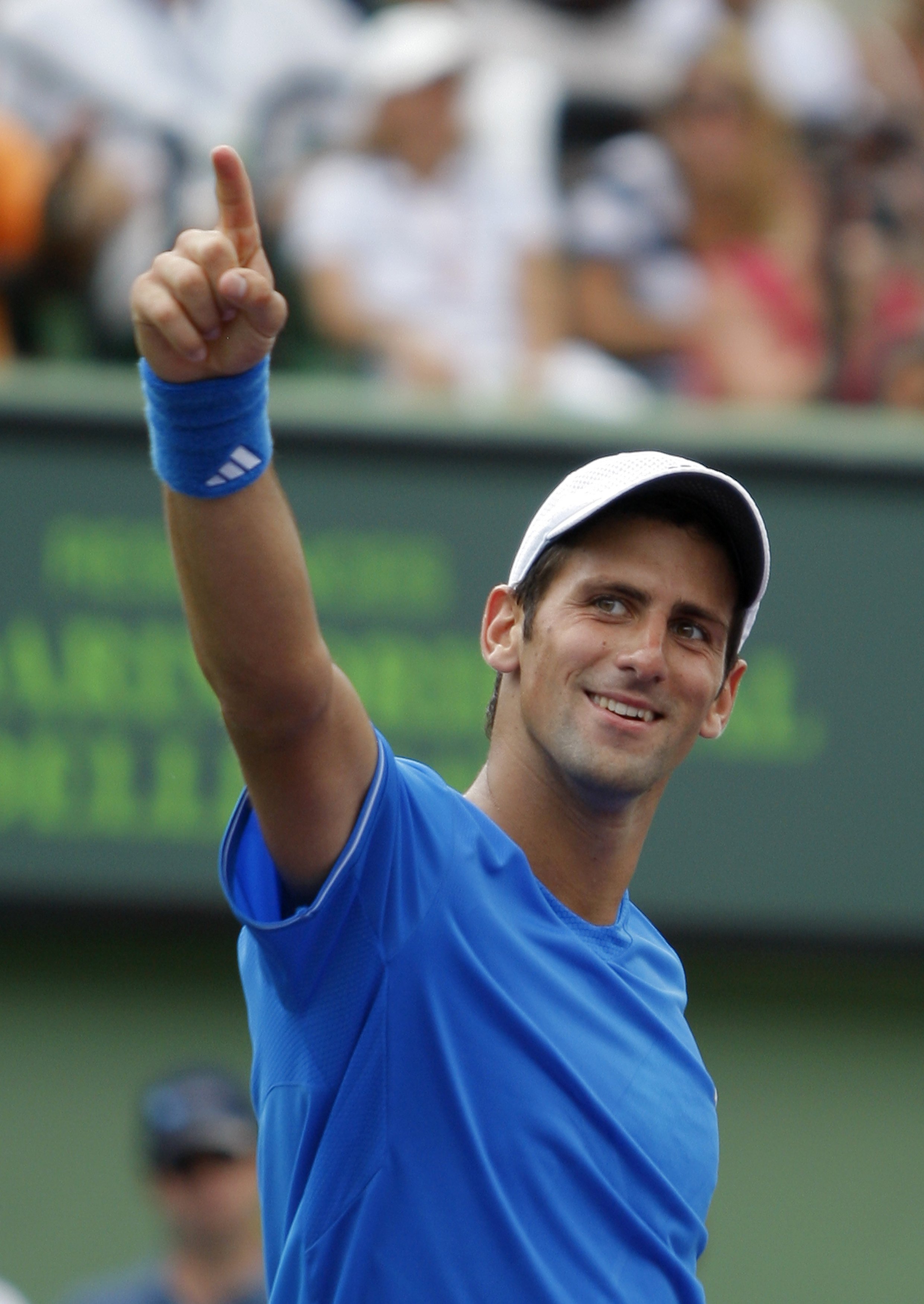 系契合度 系契合度