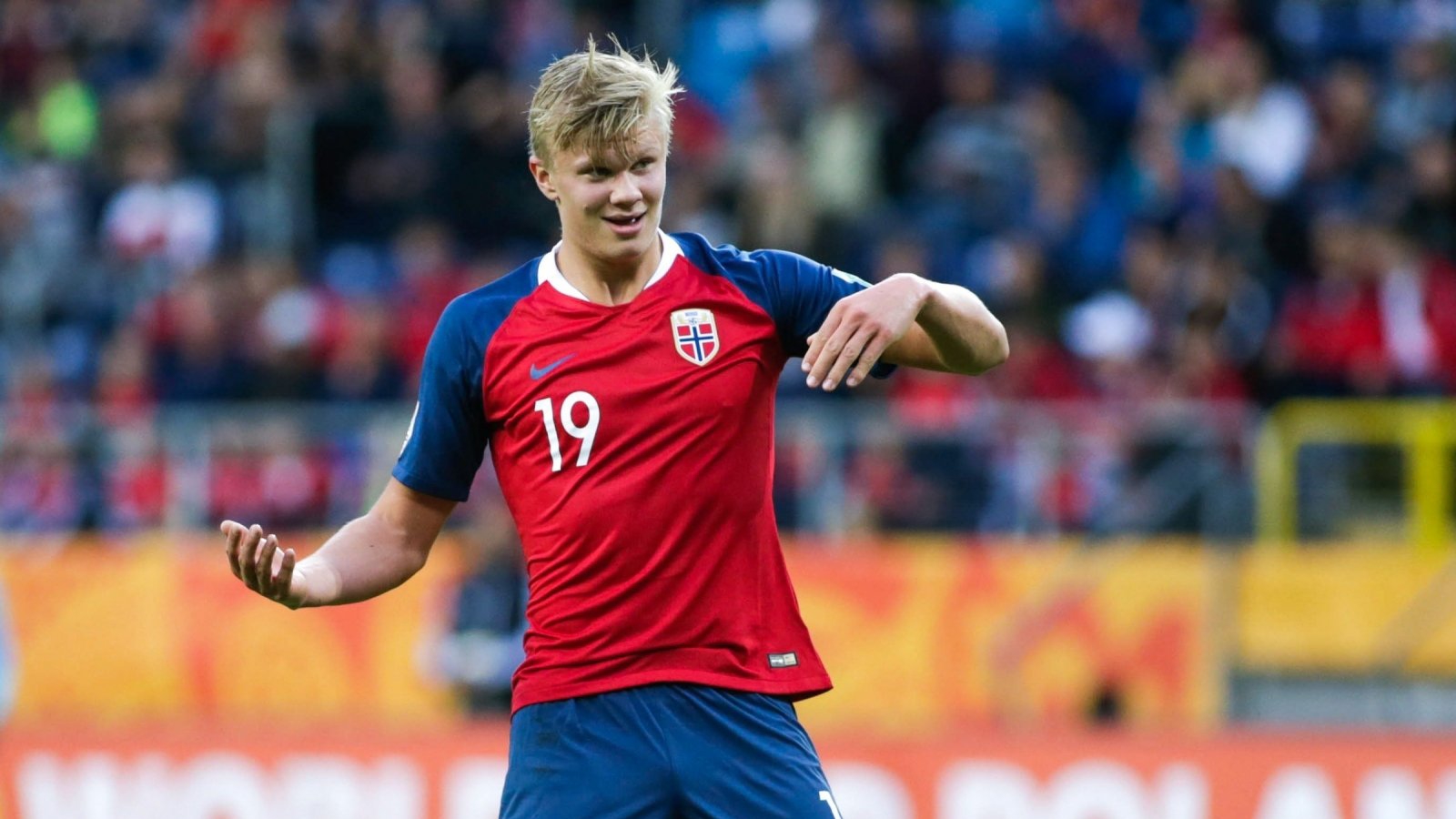 立刻加注追 立刻加注追