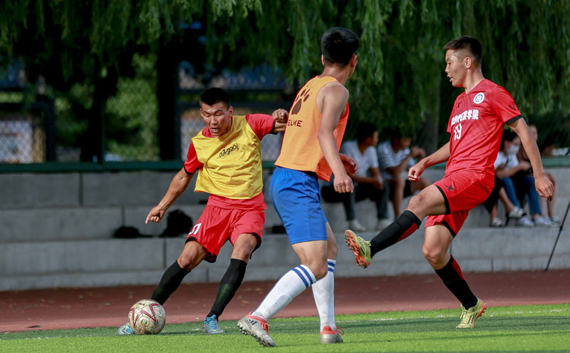 生菜洋葱 生菜洋葱